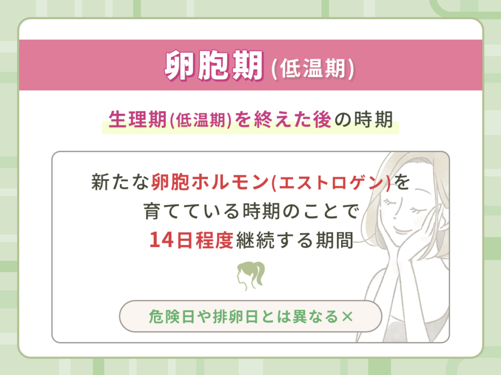卵胞期(低温期)の安全日と危険日・排卵日はいつになる?