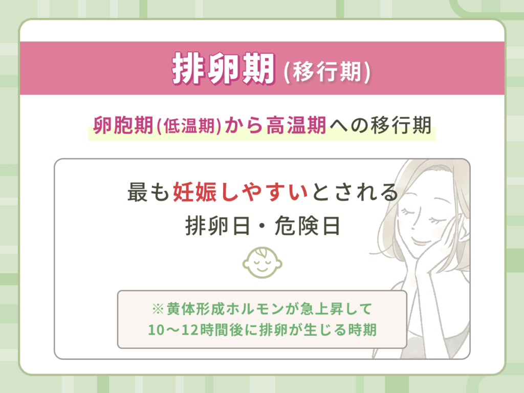 排卵期(移行期)の安全日と危険日・排卵日はいつになる?