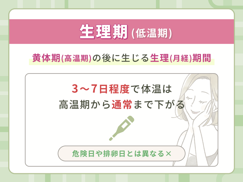 生理期(低温期)の安全日と危険日・排卵日はいつになる?