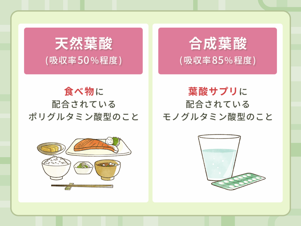 葉酸は2種類から比較