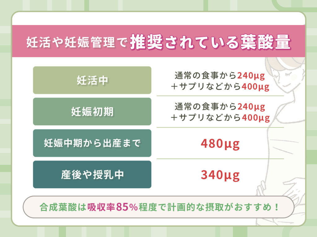 妊活や妊娠管理で推奨されている葉酸量